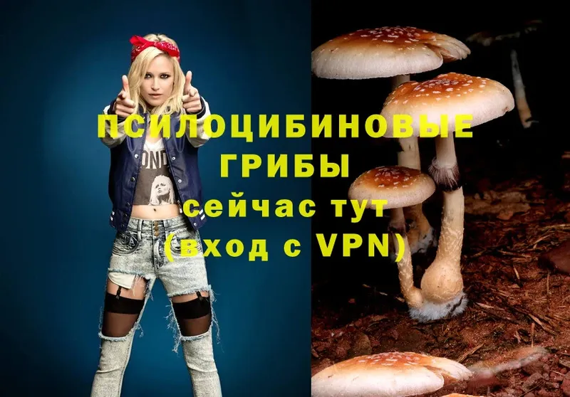 купить закладку  Гагарин  Галлюциногенные грибы MAGIC MUSHROOMS 